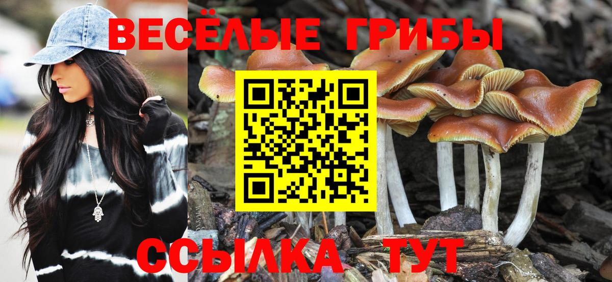 Псилоцибиновые грибы Cubensis Татарск