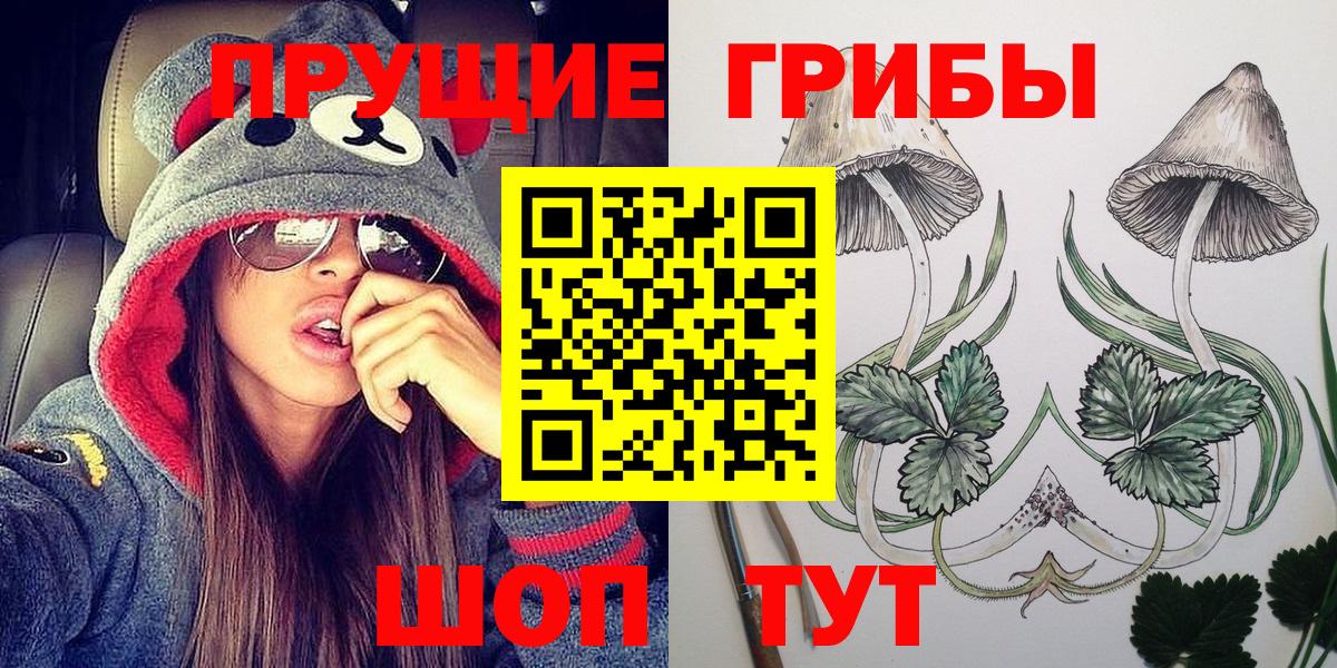 Татарск  Псилоцибиновые грибы Cubensis  Вход с VPN 
